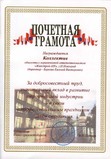 Почетная грамота губернатора Нижегородской области, 2007 год
